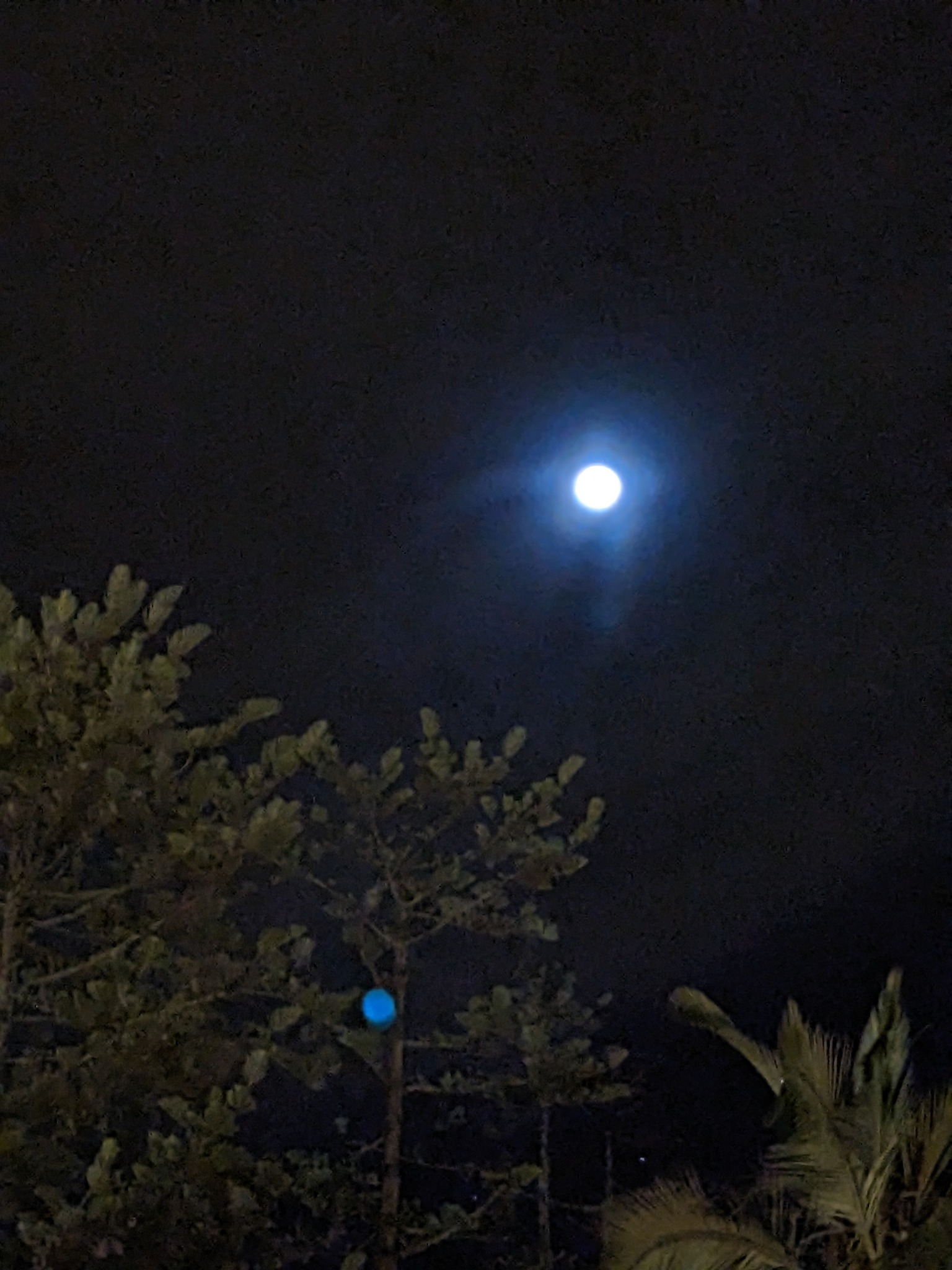 H3 Cuenca Alpaca Logo